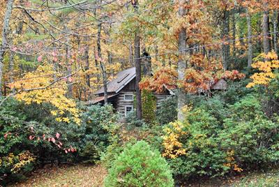 Laurel Mtn Cabin - Fleetwood, NC